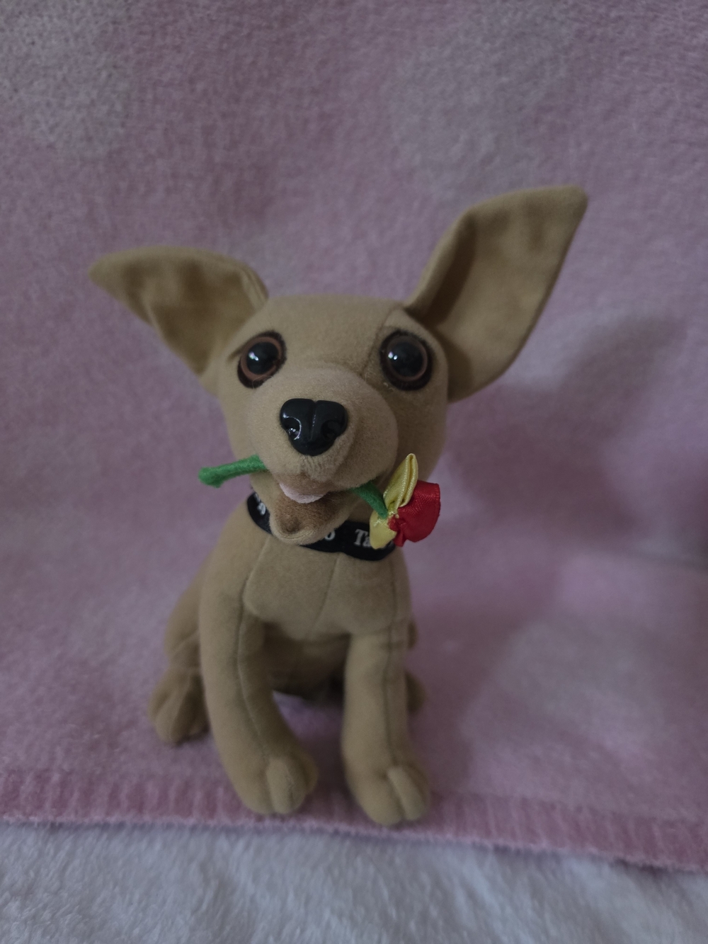 Chihuahua Dog Yo Quiero Taco Bell w/Rose Applause Plush Toy Figure - No Sound